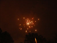 Bild21